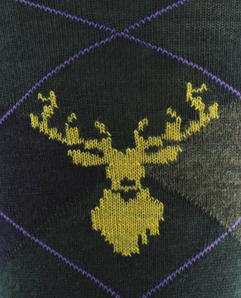 Corgi heren sokken | Groen