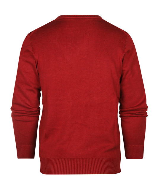 Baumwollpullover mit V-Ausschnitt |