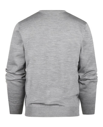 Pullover Merino wol v-hals | Grijs