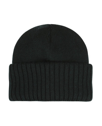 Stetson Beanie Merino | Groen