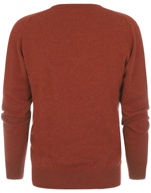 William Lockie V-hals Lamswol Pullover | Tiger