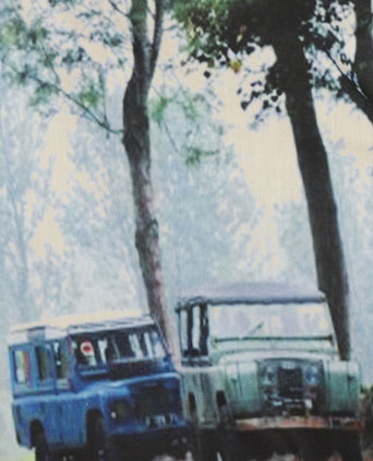 English Lumberjack | Bruin