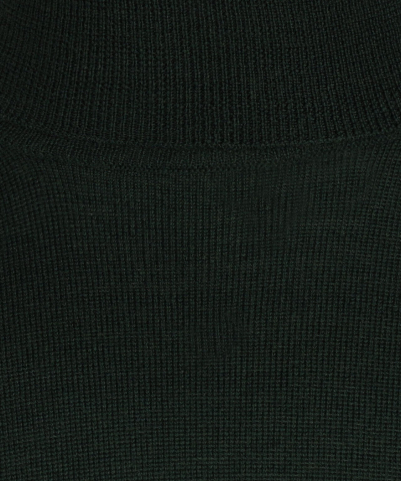 Merino Roll Neck Pullover | Fles Groen