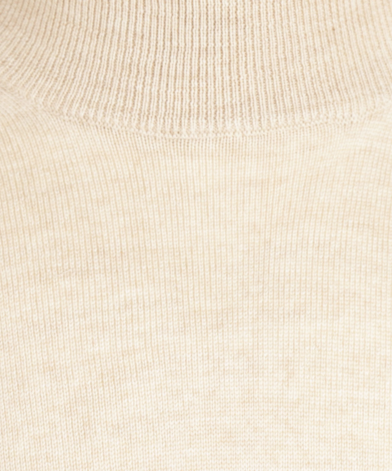 Turtle sweater Merino wool | Beige