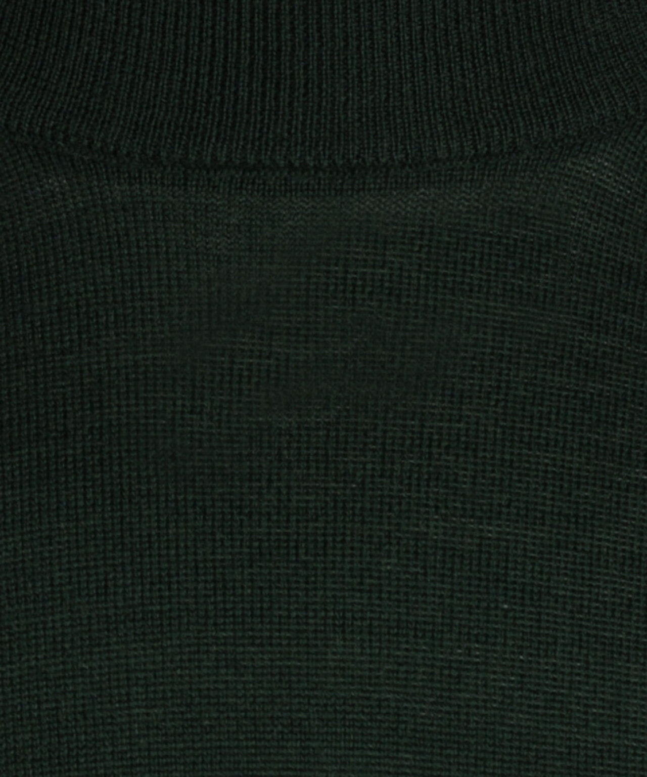 Schildkrötenpullover aus Merinowolle | Grün