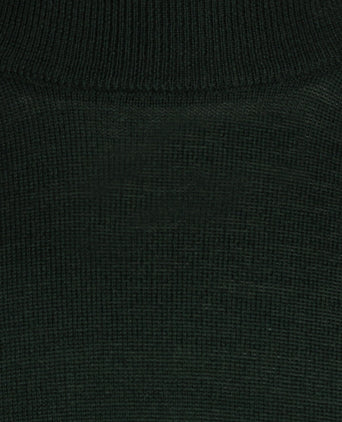 Turtle trui Merino wol | Groen
