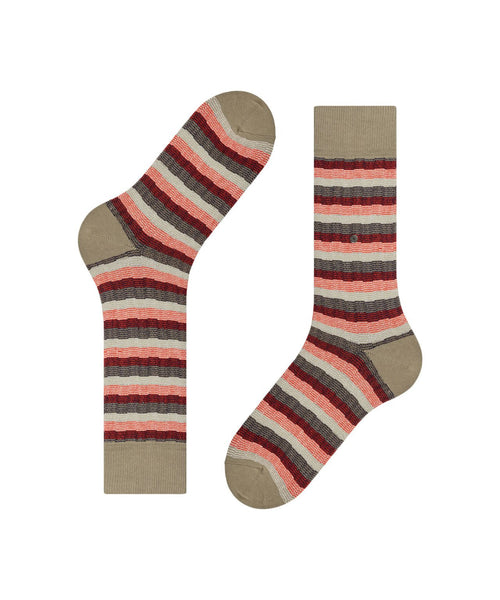 Burlington Signature Stripe | Bruin