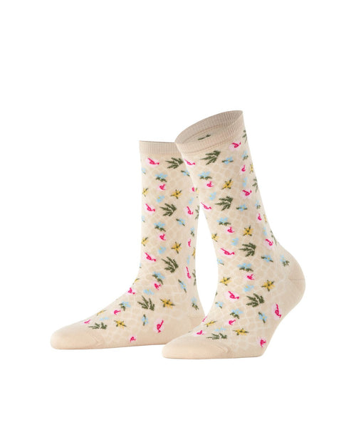 Burlington Sweet Bloom | Braun