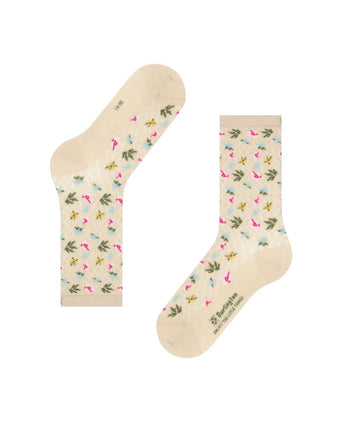 Burlington Sweet Bloom | Bruin