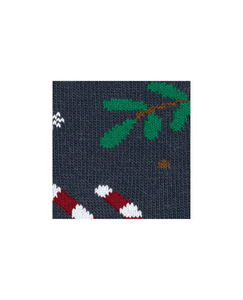 Falke Sokken Blizzard | Blauw