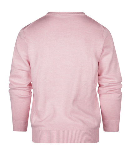 Baumwollpullover mit V-Ausschnitt |