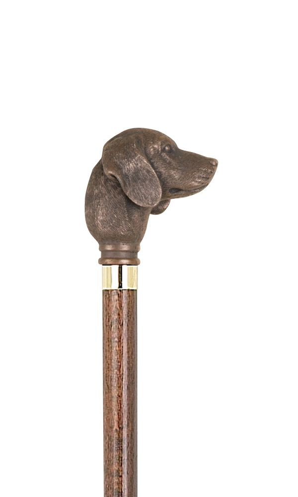 Collectors stick | Golden Retriever