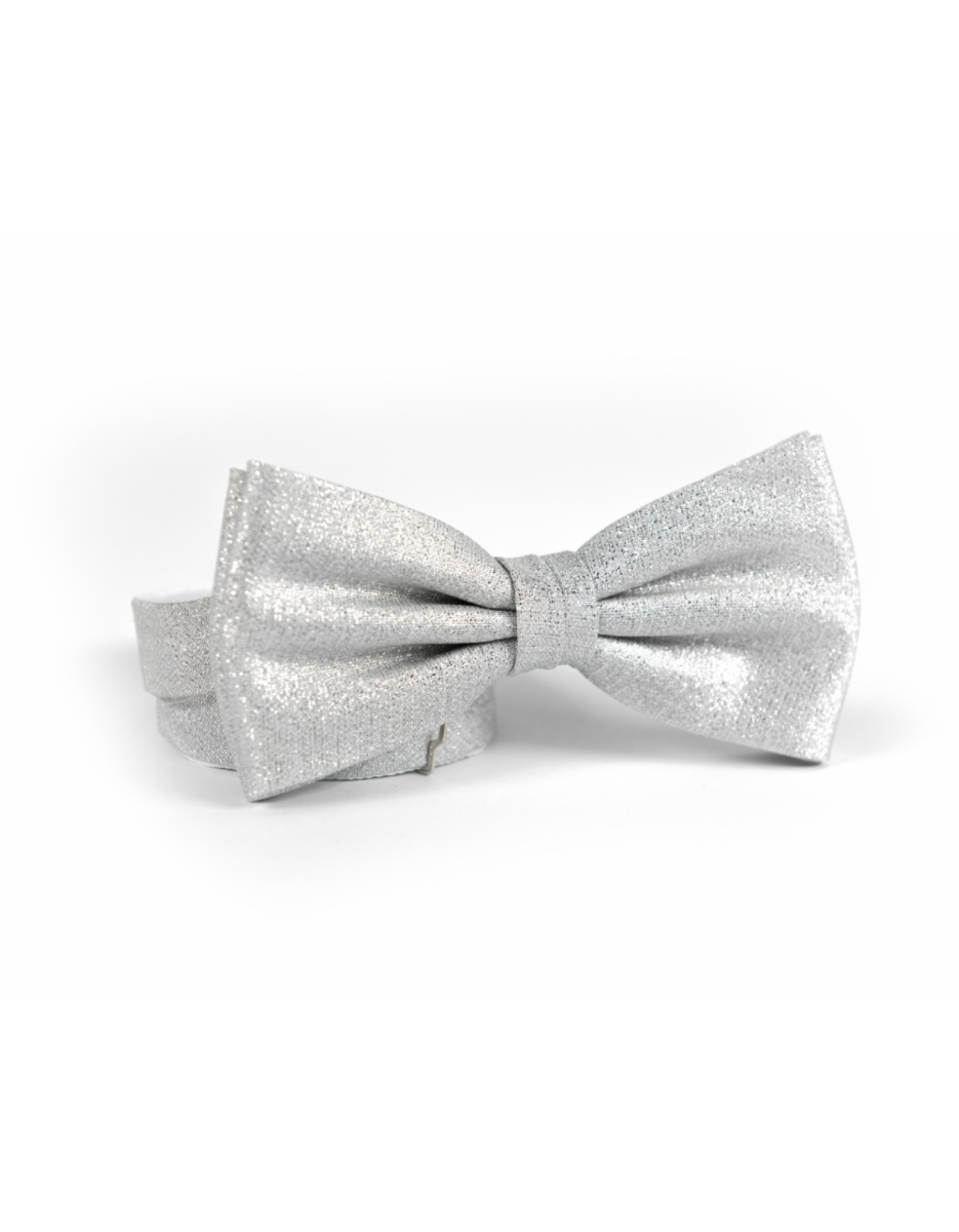 Feestelijke Strik | Zilver