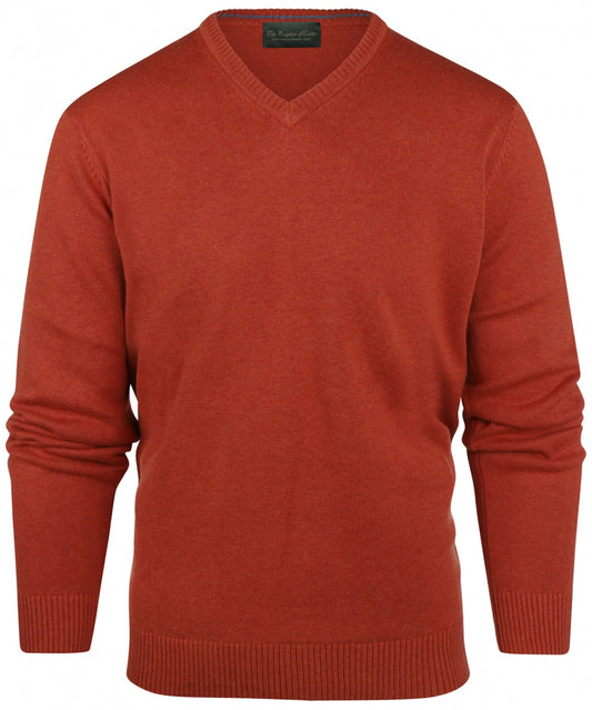 Cotton v-neck sweater | Brown
