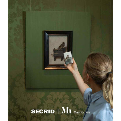 Art Collection | Goldfinch