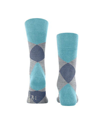 Sok Clyde | Aqua/Grey check