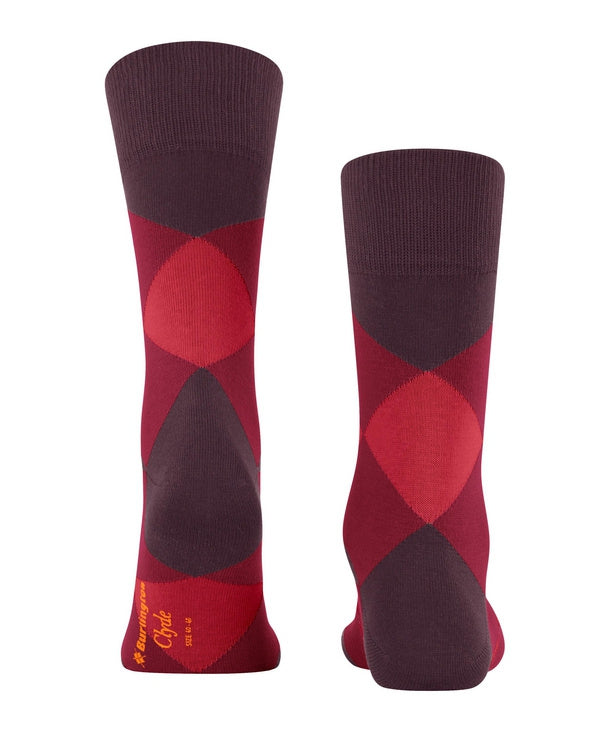 Sok Clyde | Burgundy/Red check