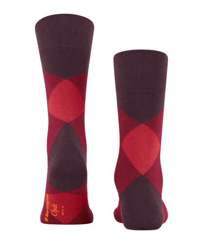 Sok Clyde | Burgundy/Red check