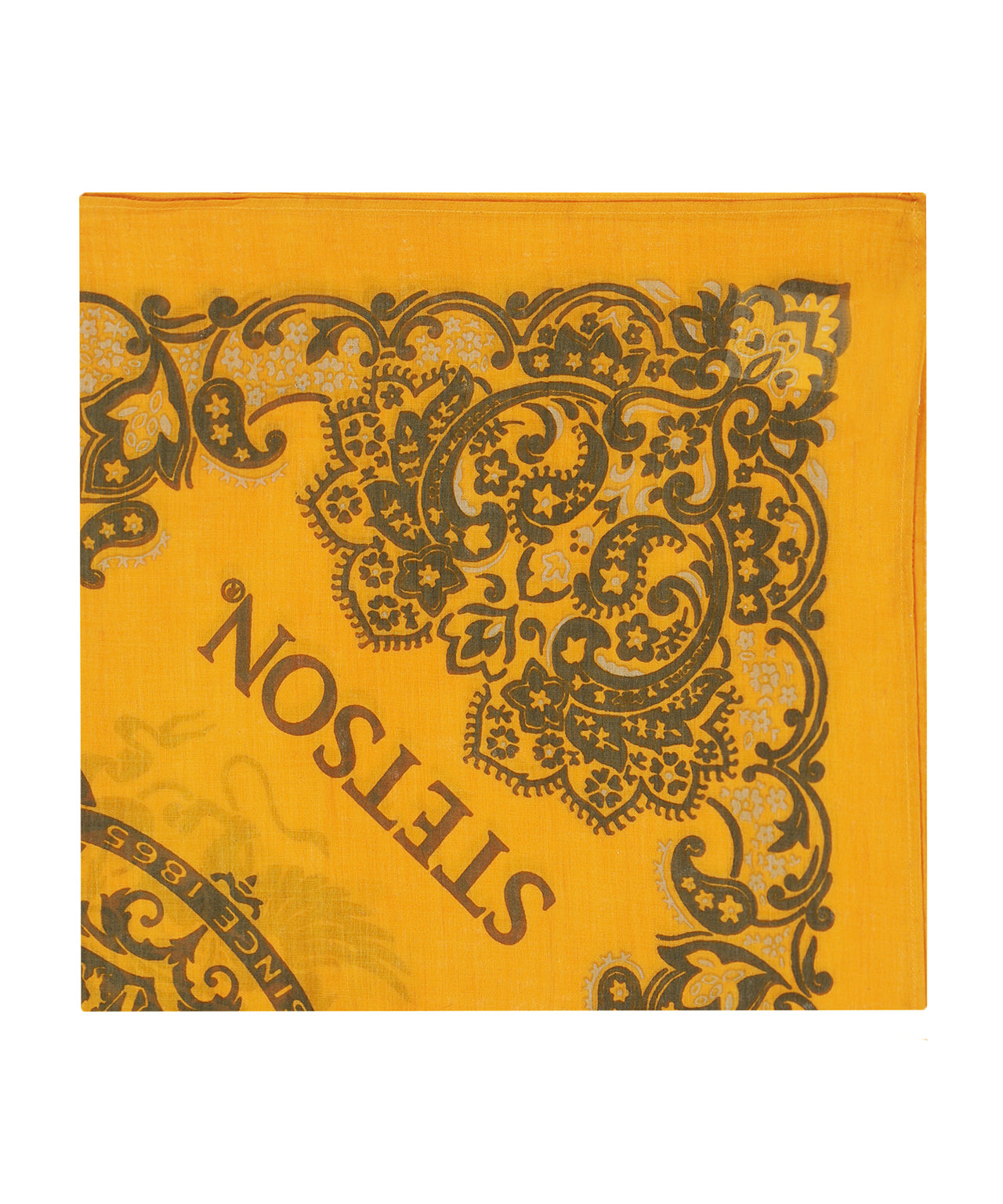 Bandana Cotton | Orange