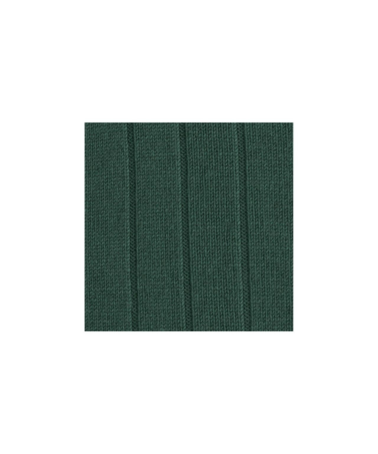 Lhasa Rib Men's Socks | Green