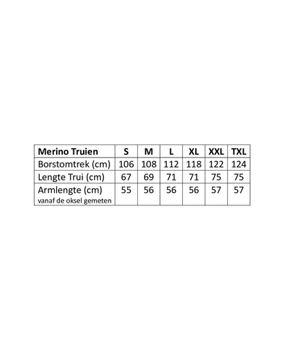 Merinowollpullover mit Rundhalsausschnitt | Beige